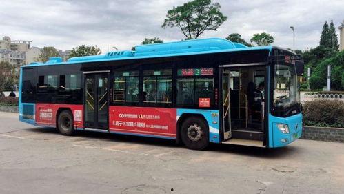 3路公交车爆料新闻视频,揭秘城市交通背后的故事 第1张 3路公交车爆料新闻视频,揭秘城市交通背后的故事 第1张