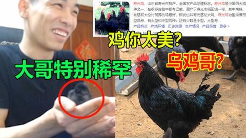 飞哥爆料整只鸡视频播放,整只鸡视频播放背后的惊人真相  第3张